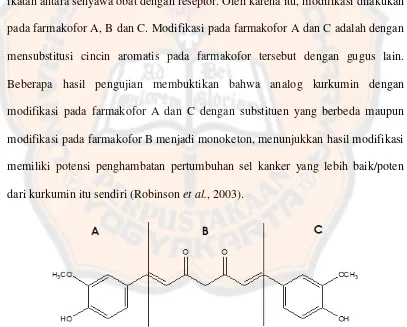 Gambar 5. Tiga gugus farmakofor pada kurkumin (Heinrich, Joanne, Simon, 