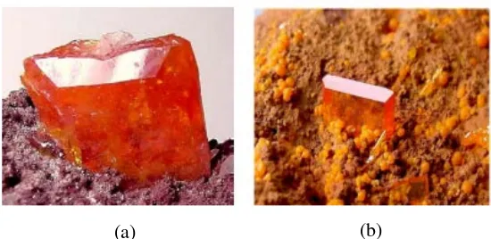Gambar 2. 1    Berbagai jenis mineral yang memperlihatkan struktur kristalnya, (a). Wulfenite, (b)