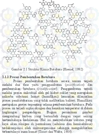 Gambar 2.1 Struktur Kimia Batubara (Haenel, 1992) 