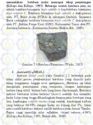 Gambar 2.4 Batubara Bituminus (Wicks, 2005) 