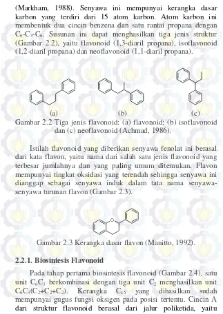 Gambar 2.2 Tiga jenis flavonoid: (a) flavonoid; (b) isoflavonoid 