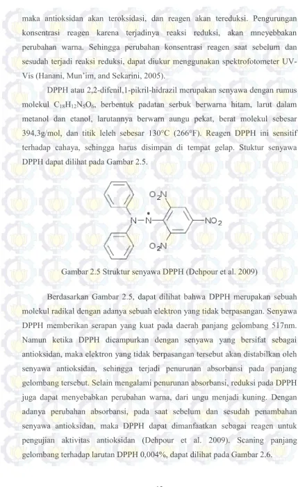Gambar 2.5 Struktur senyawa DPPH (Dehpour et al. 2009) 