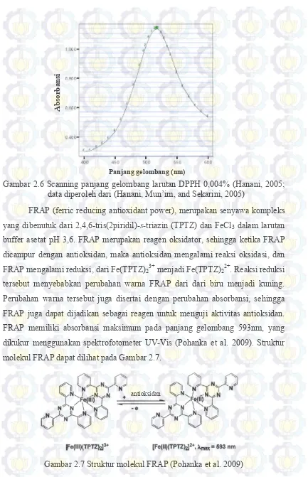 Gambar 2.6 Scanning panjang gelombang larutan DPPH 0,004% (Hanani, 2005; 
