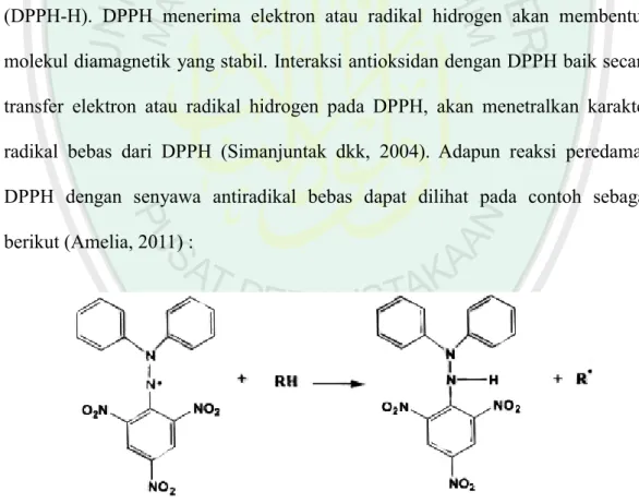 Gambar 2.4 Reduksi DPPH dari senyawa peredam radikal bebas 