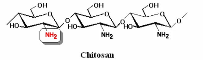 Gambar 2.6 Struktur Kimia Kitosan (Shaji, et al., 2010) 