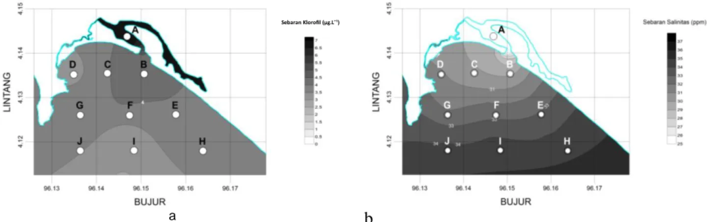 Gambar 2 Kontur  permukaan  sebaran  klorofil-a  (µg/l)  secara  horizontal  (a)  dan  sebaran  nilai  salinitas  (b)  di  permukaan  perairan Teluk Meulaboh pada bulan Mei 2014