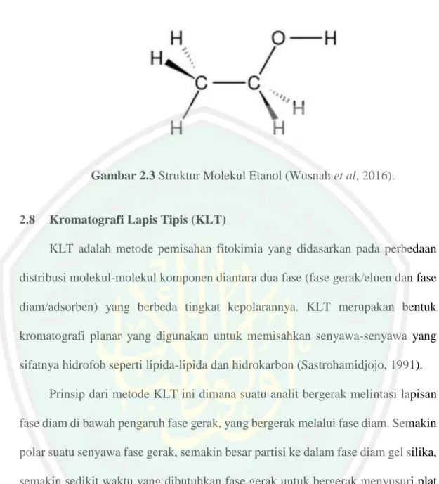 Gambar 2.3 Struktur Molekul Etanol (Wusnah et al, 2016). 