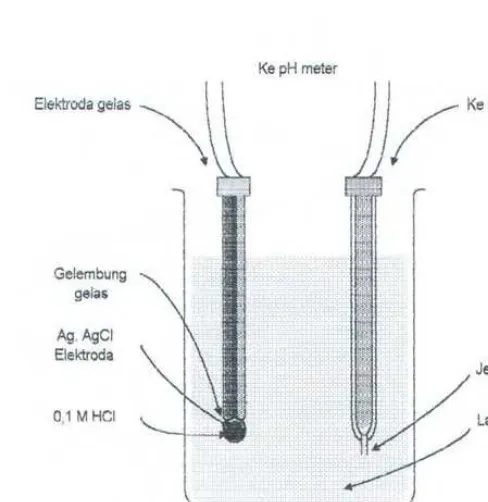 Gambar 2.3 Elektroda Gelas dan Calomel 