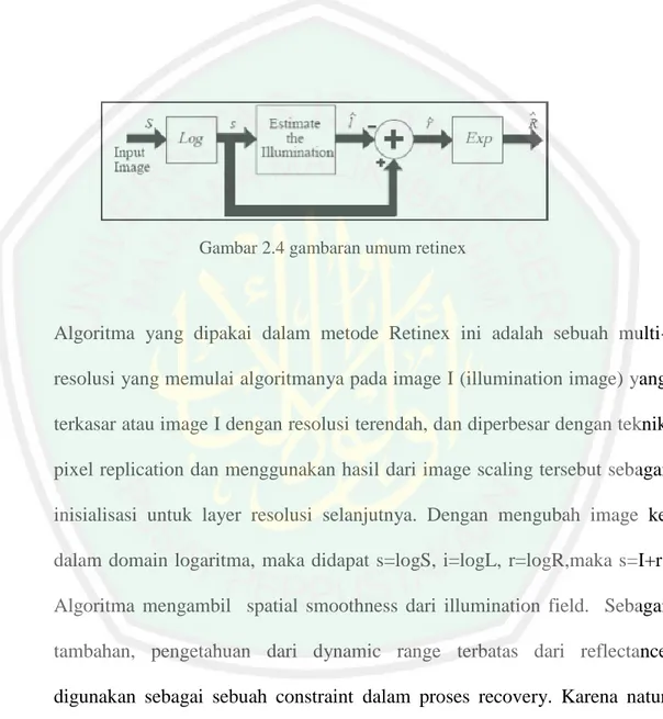 Gambar 2.4 gambaran umum retinex 