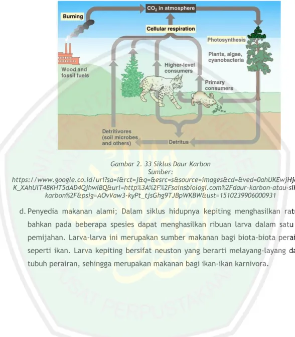 Gambar 2. 33 Siklus Daur Karbon   Sumber: 
