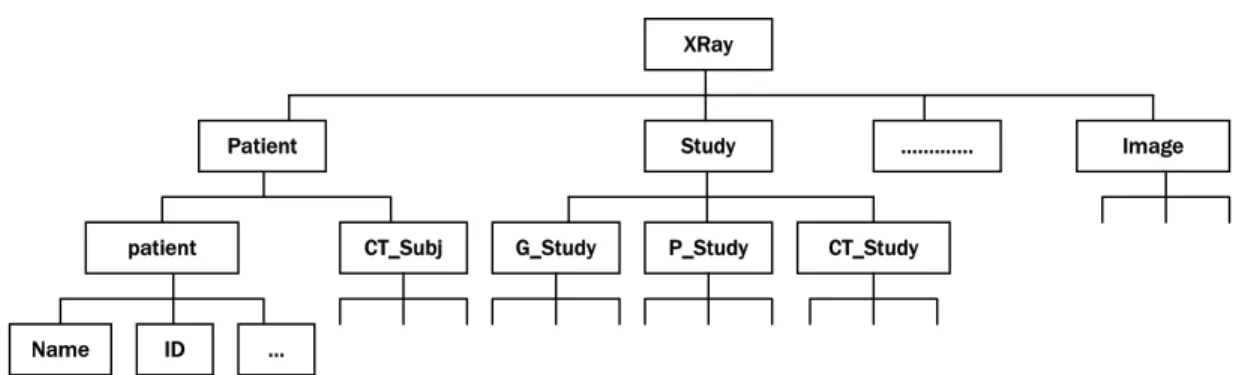 Gambar 2. Hirarki Entitas, Modul dan Atribut Xray 