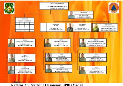 Gambar 2.1. Struktur Organisasi BPBD Medan 