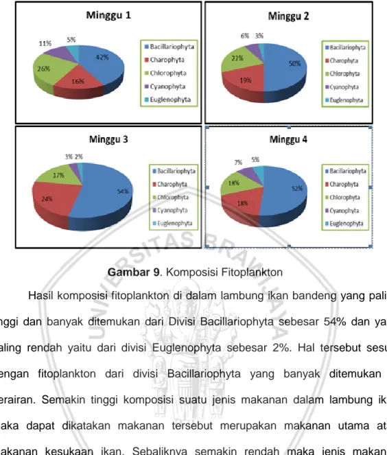 Gambar 9. Komposisi Fitoplankton  