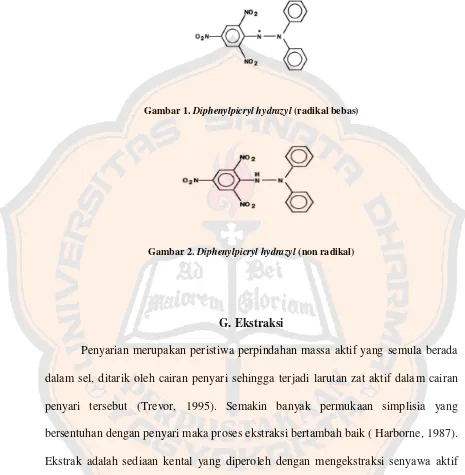 Gambar 1. Diphenylpicryl hydrazyl (radikal bebas) 