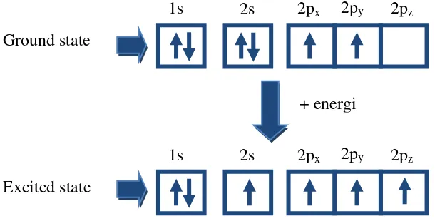 Gambar 2.1 Konfigurasi elektron karbon pada ground dan exitasi state (Fadıl, 2013)  