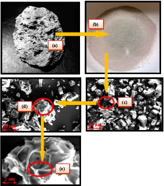 Gambar 4.1  Batu apung Lombok lokasi III; (a) batu apung utuh, (b) dalam bentuk serbuk, serta morfologi struktur mikro pori batu apung serbuk pada perbesaran; (c) 800, (d) 1.000, dan (e) 4.000  