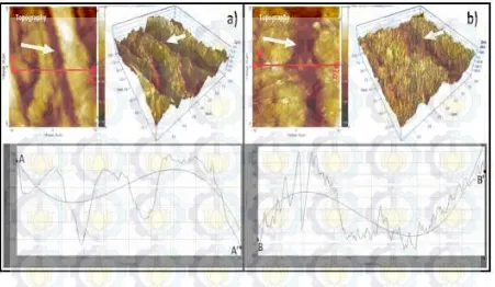 Gambar 4 Mikrografi 2D dan 3D permukaan tembaga yang dilapisi partikel Fe3O4 yang disintesis a) tanpa PEG–1000, b) dengan PEG–1000 