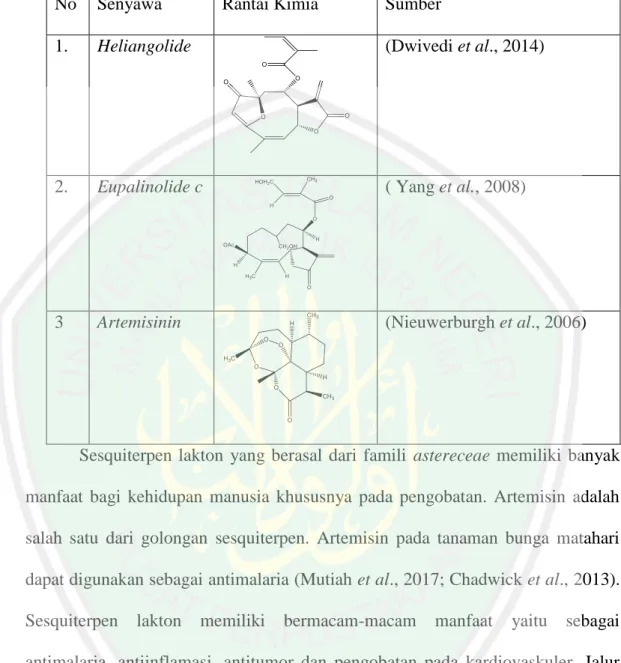 Tabel 2.2 Struktur Kimia Sesquiterpen Lakton  No  Senyawa   Rantai Kimia  Sumber  
