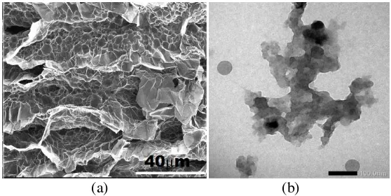 Gambar 2.6 Morfologi pada uji (a) SEM dari grafit dengan penambahan H2SO4 (Karlsson, 2016) dan (b) TEM  rGO dari arang tempurung kelapa tua dengan pemanasan 400ºC selama 5 jam  (Nugraha, 2015)