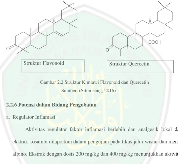 Gambar 2.2 Struktur Kimiawi Flavonoid dan Quercetin  Sumber: (Situmeang, 2016)