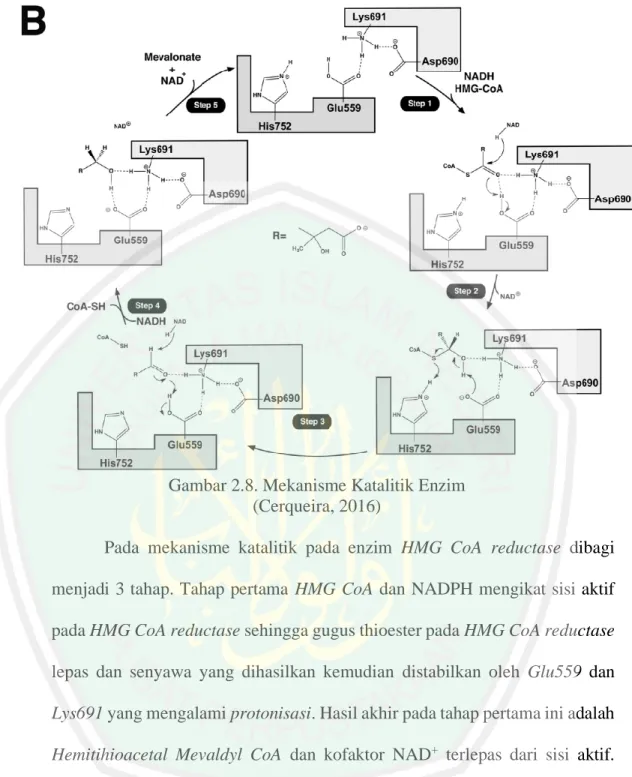 Gambar 2.8. Mekanisme Katalitik Enzim  (Cerqueira, 2016) 