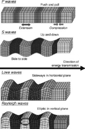 Gambar 2.6 Pergerakan dari gelombang badan dan permukaan. (Murty C.V.R, 2005) 