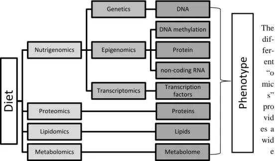 Figure 1: How ”Omics” science are used to understand the relationship be- be-tween diet and Phenotype