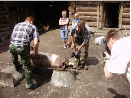 Foto 4. Liivo filmib, kuidas tapetud siga leeklambi abiga karvadest puhastatakse. 