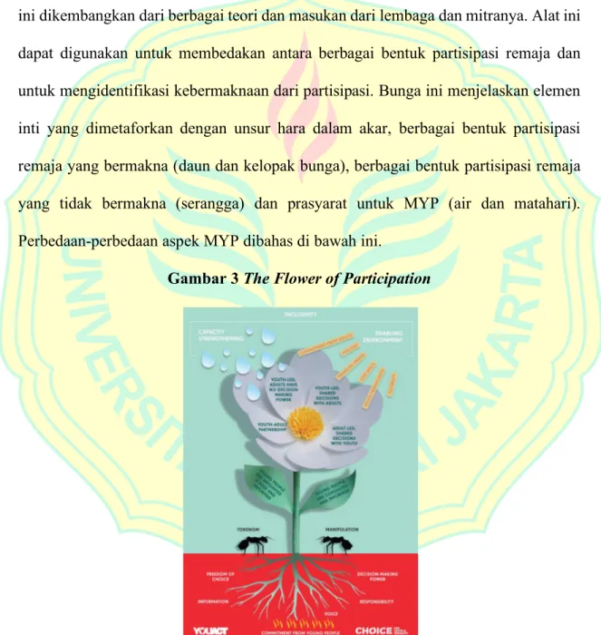 Gambar 3 The Flower of Participation 