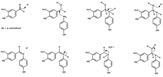 Gambar 4. Mekanisme reaksi adisi-eliminasi antara vanilin dan p-aminofenol 
