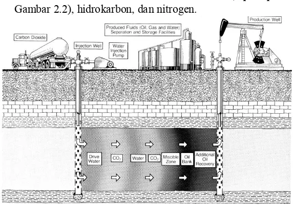 Gambar 2.2), hidrokarbon, dan nitrogen. 