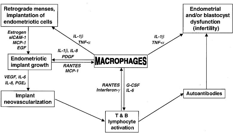 Gambar 1. Imunobiologi Endometriosis32 