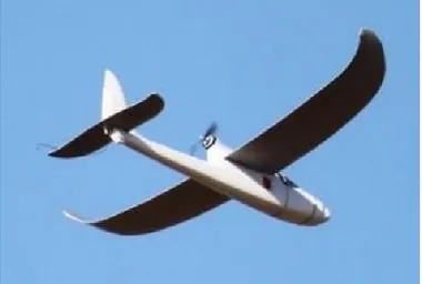 Gambar 1. Fixed Wing  UAV multi rotor cocok untuk pemetaan 