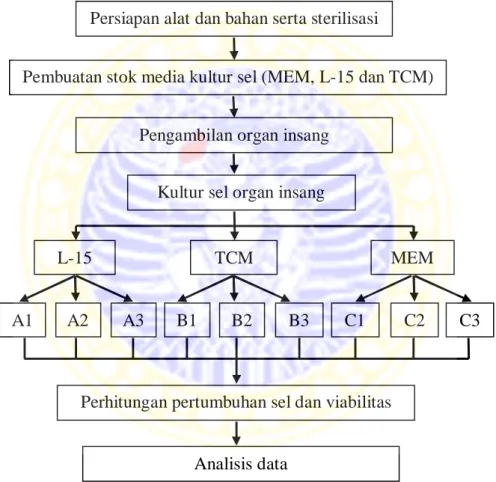 Gambar 3. Diagram Alir Penelitian  Persiapan alat dan bahan serta sterilisasi 