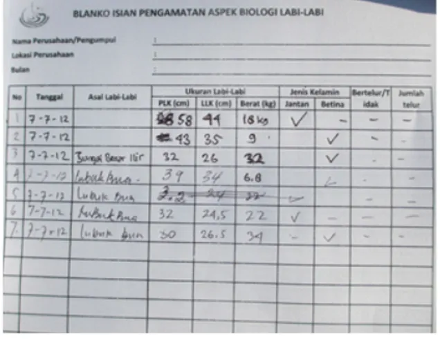 Tabel 2. Ukuran morfologi labi-labi yang terukur di Sumatera Selatan