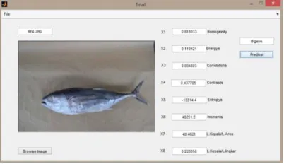 Gambar 2.2 Citra Tuna Dimasukkan dalam Sistem untuk Diproses 