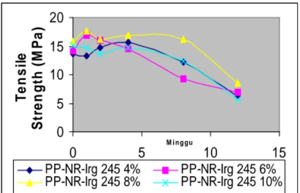 Gambar 6. Elongation at break polipaduan PP-NR- PP-NR-irganok 245 pasca penjemuran.