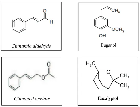 Gambar 1. Struktur Kimia Flavonoid Kayu Manis 