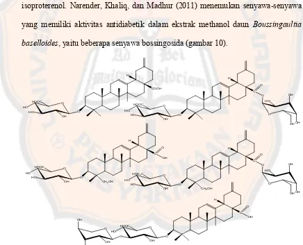 Gambar 10. Beberapa senyawa boussingosida dalam daun binahong (Narender, Khaliq, dan Madhur, 2011) 