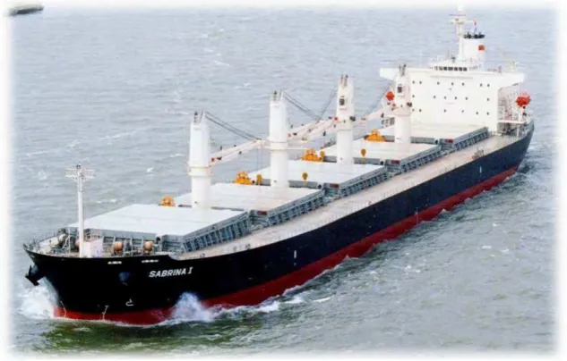 Gambar 2.4 Kapal Bulk Carrier 
