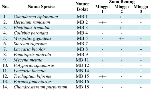 Tabel 3.1 Kemampuan dekolorisasi 14 isolat JPP dari Taman Nasional Gunung Merbabu  terhadap pewarna black B dengan lama inkubasi 21 hari