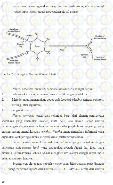 Gambar 2.1  Biological Neurons (Fausett,1994) 