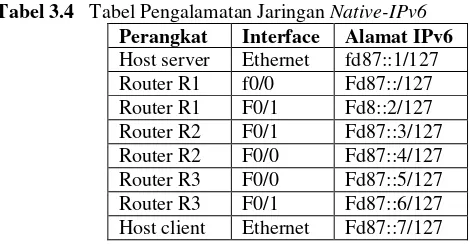 Gambar 3.18  Topologi Jaringan Native-IPv6