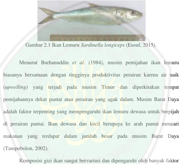 Gambar 2.1 Ikan Lemuru Sardinella longiceps (Eusuf, 2015). 