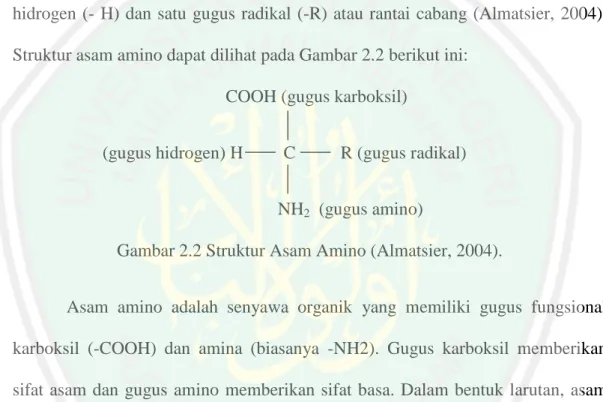 Gambar 2.2 Struktur Asam Amino (Almatsier, 2004). 