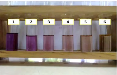 Gambar 1 Hasil Pengujian Daya Antioksidan dengan Metode DPPH secara  Kualitatif (reaksi warna) Ekstrak Etanol Kayu Secang Putih   Keterangan (dilihat dari kiri ke kanan) : 