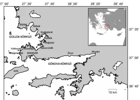 Şekil 1. Araştırma sahası  3. BULGULAR