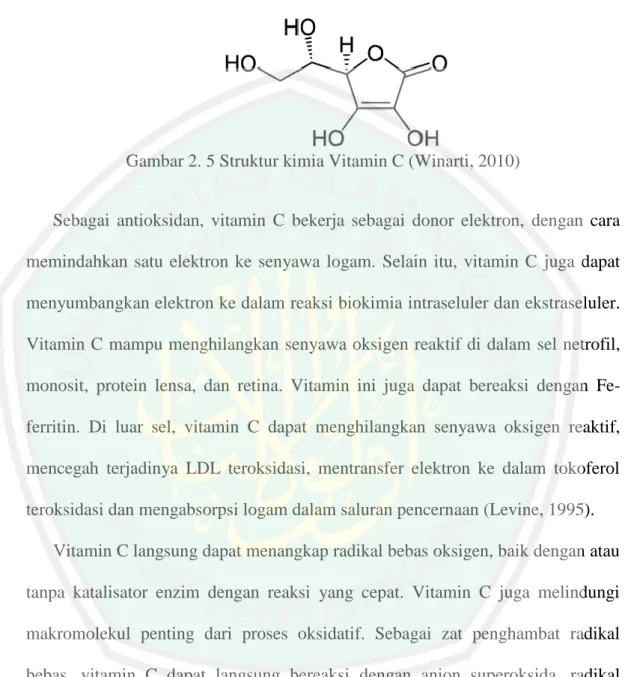 Gambar 2. 5 Struktur kimia Vitamin C (Winarti, 2010) 