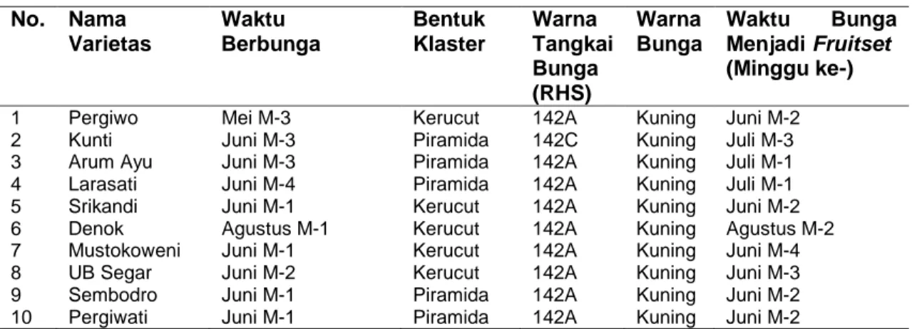 Tabel 1 Karakter Kualitatif Morfologi Bunga Mangga  No.  Nama  Varietas  Waktu  Berbunga   Bentuk Klaster  Warna  Tangkai  Bunga  (RHS)  Warna  Bunga  Waktu  Bunga Menjadi Fruitset (Minggu ke-) 