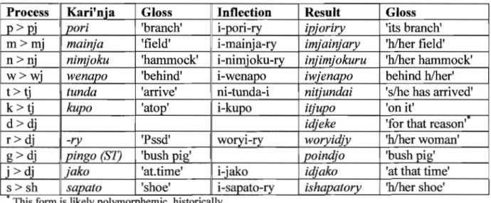 Table 3.3. Palatalized Consonants